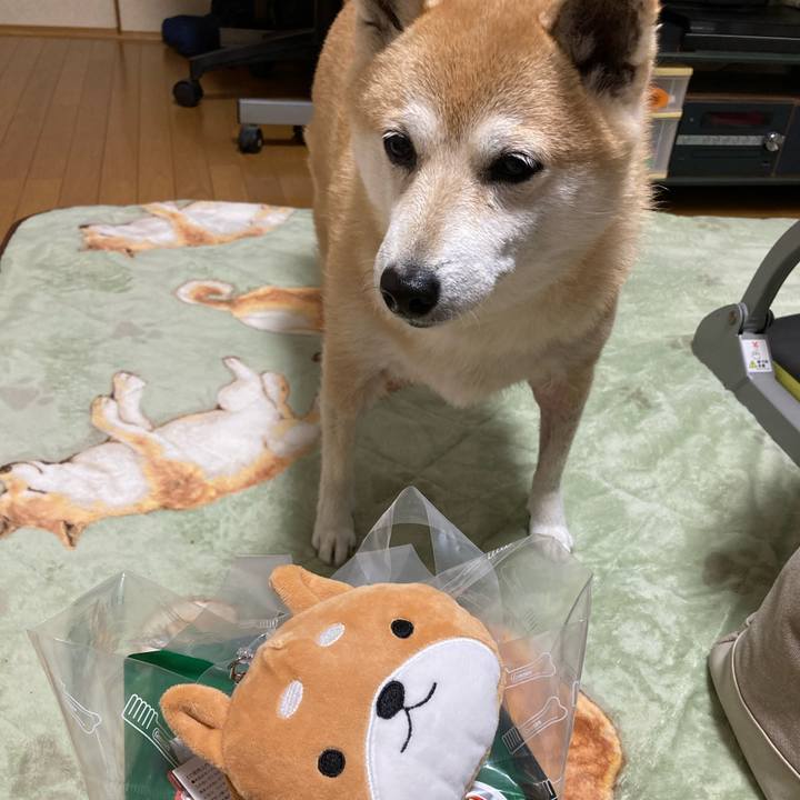 81bcf06a ad77 44ba ae20 7ee9d861b0f6 1639916332644