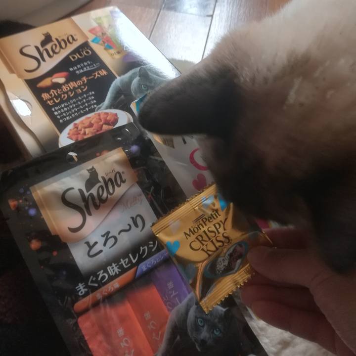 81bcf1a6 3311 456f afc7 80dfa2a524ee 1518584671318