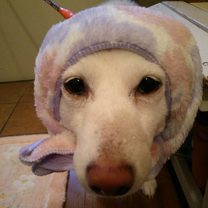 81bd1912 d586 4e13 8869 005d0b8af650 1552464118571