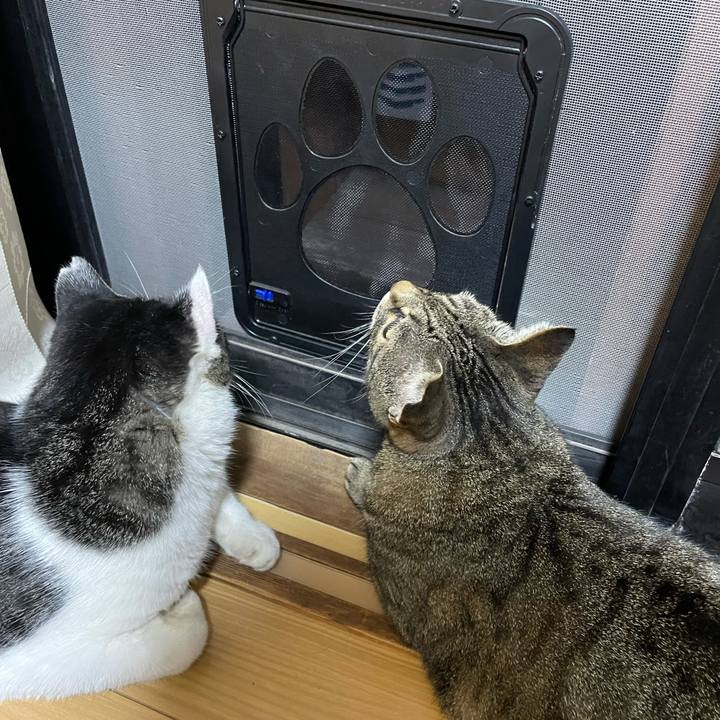 81bd5815 8b66 436f b6eb 821c74e9c6c0 1630049651646