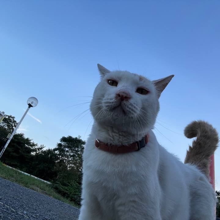 81bd8467 ef04 4bf8 8d55 67f9c506b87f 1756541939308