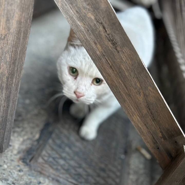 81bd84b3 8eac 40ec a3d3 4cf7cabbf3c8 1706346294935