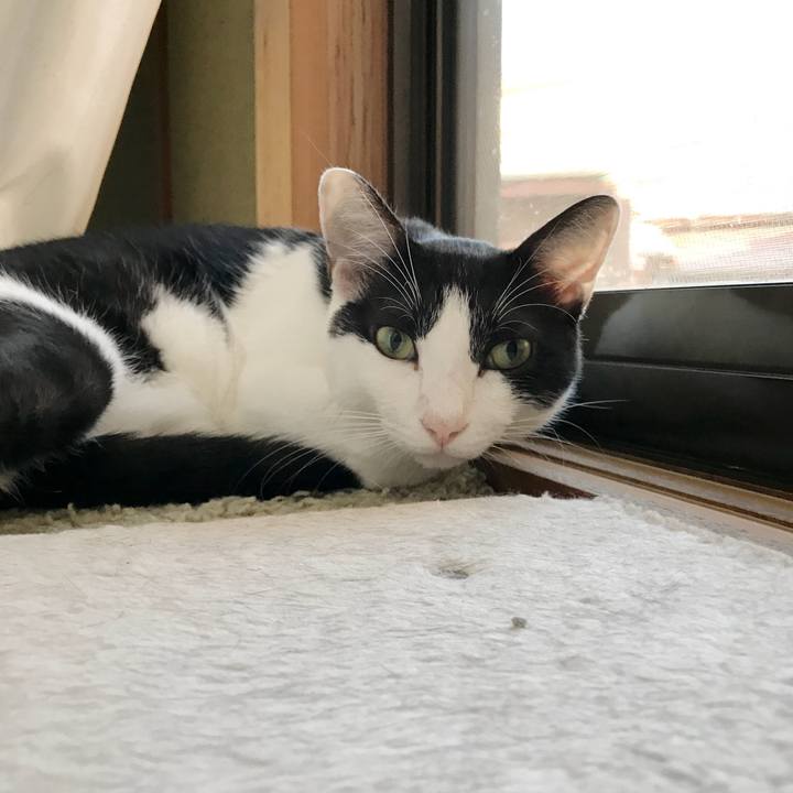 81bd84c2 5717 49ff a998 2c5378d3e4c9 1536458416094