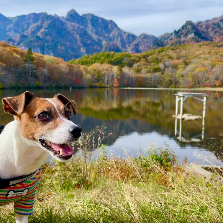 81bd9c0e 8991 45ea b659 584412e9601f 1730360245676