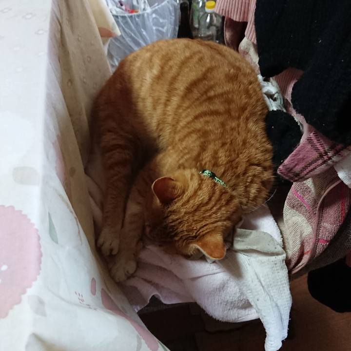 81bda713 753c 4ae3 9b24 f90a35bee86d 1581204027487