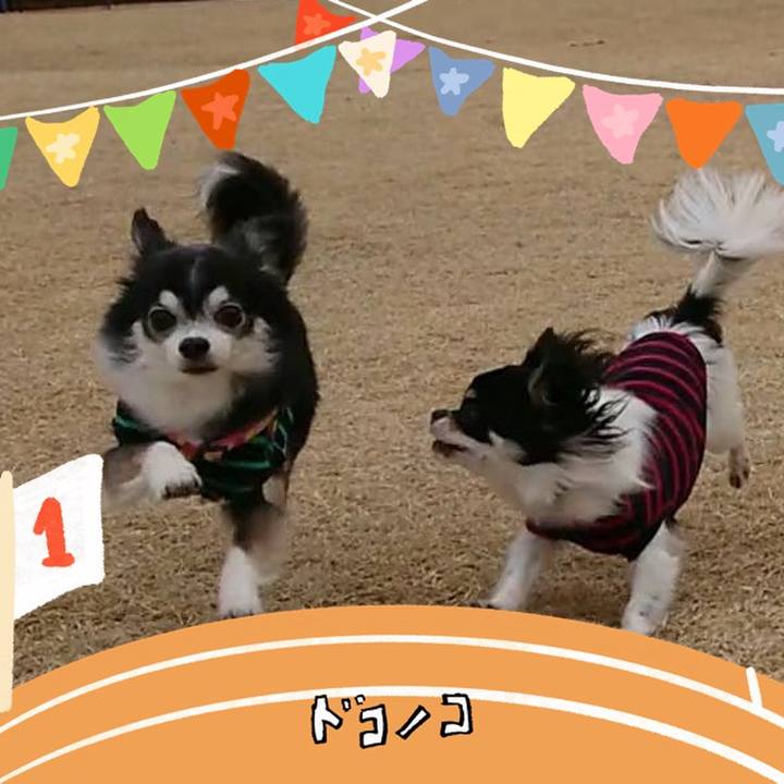 81bdbaa9 d8ed 4dac 9b7e 0b6d2325b366 1761901499280