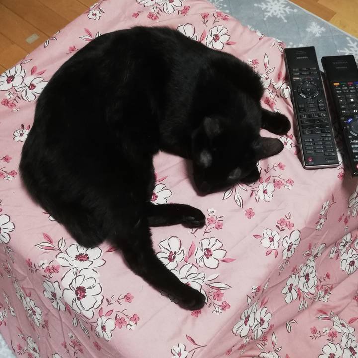 81be1683 375d 4ac7 af98 ea1b026f1126 1667167718095