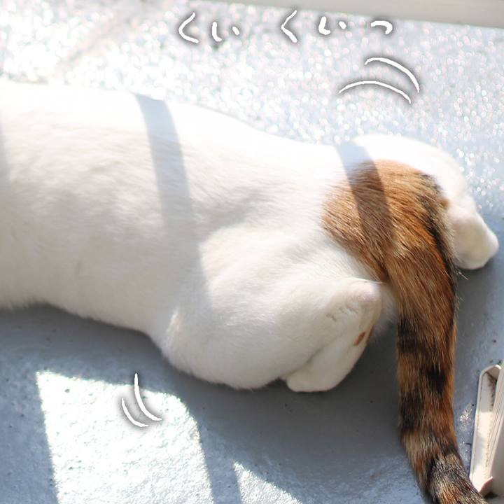 81be6652 7b4a 4923 935d f1c8cd58de40 1599690956718