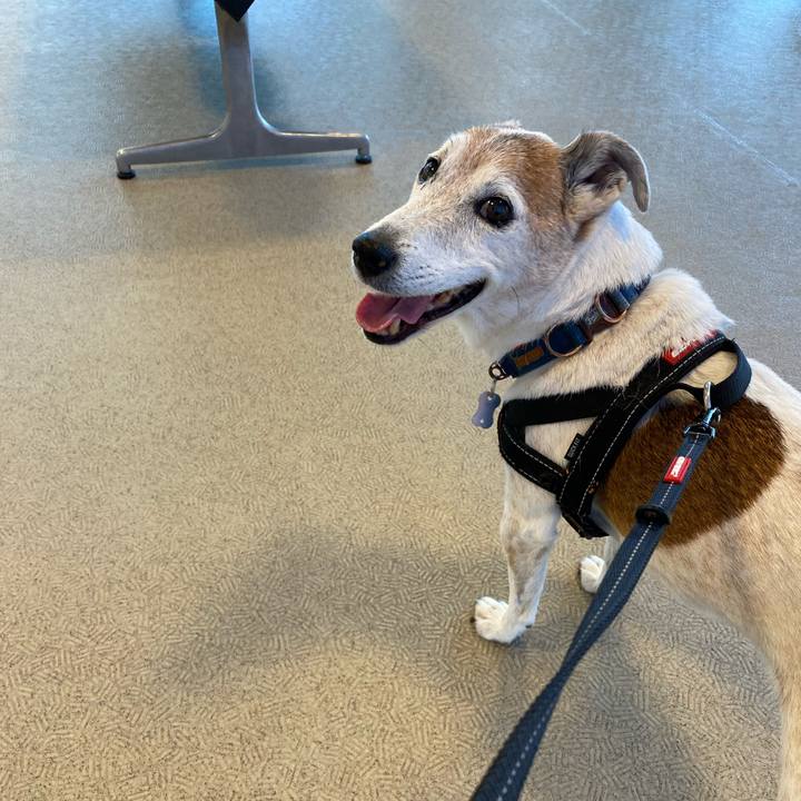 81be67ea 5dc9 483c bfe6 28fb92323c8d 1624957689089