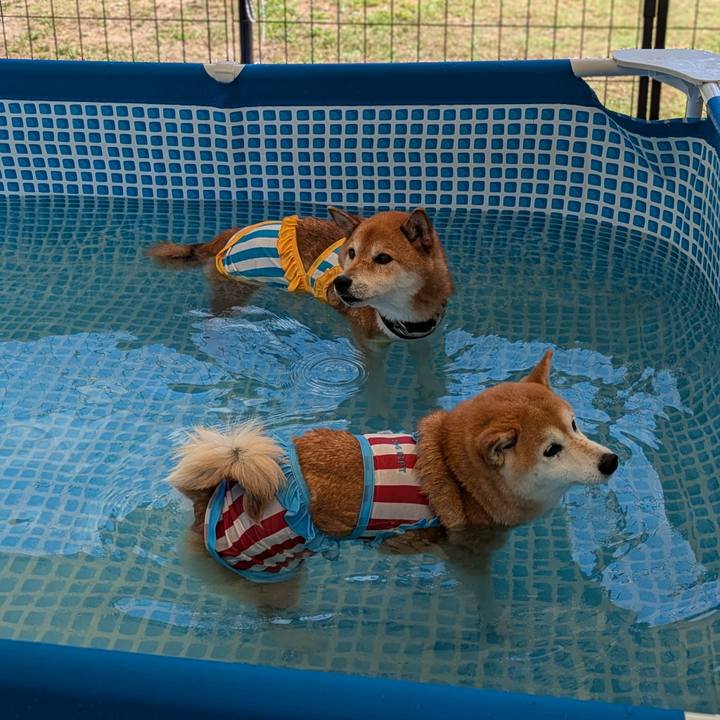 81beaa8e b244 4c07 942d bd0960e74f12 1722849775291