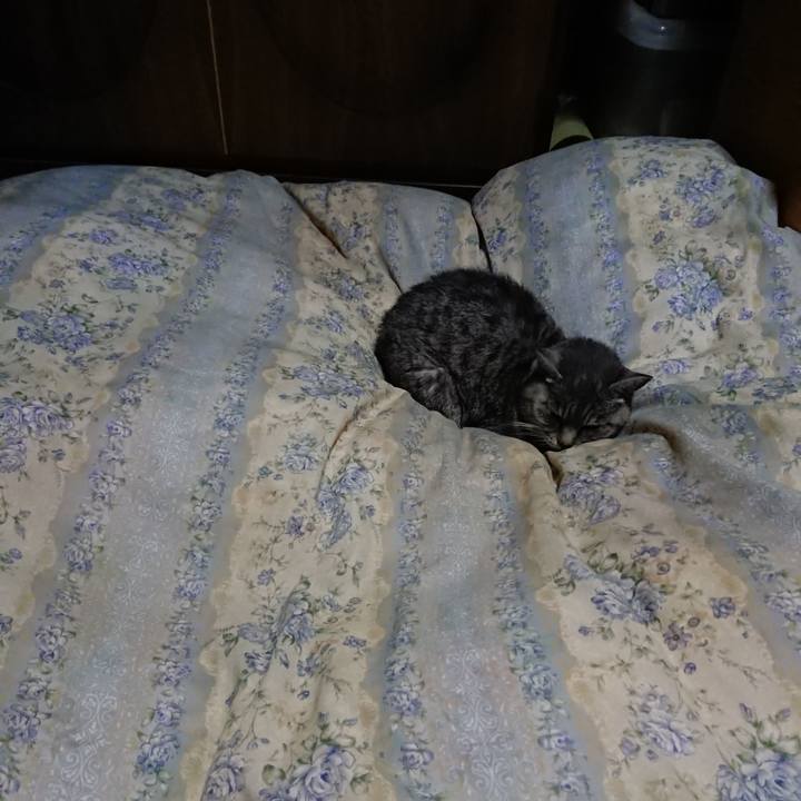 81beabc5 277a 4d13 9287 172294a15d9a 1573385979921