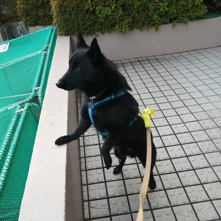 81bed8c5 d8da 4238 9878 2251aa0fe18e 1639813024975