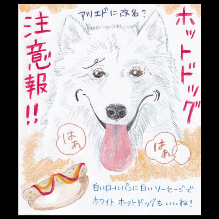 81bf5949 1ece 4b63 b556 8f7b30cae61d 1658878229698