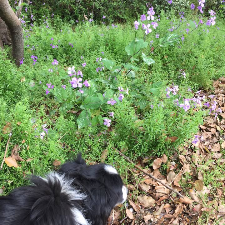 81c00427 5d67 4884 af91 9c6c024cca8d 1555461620530