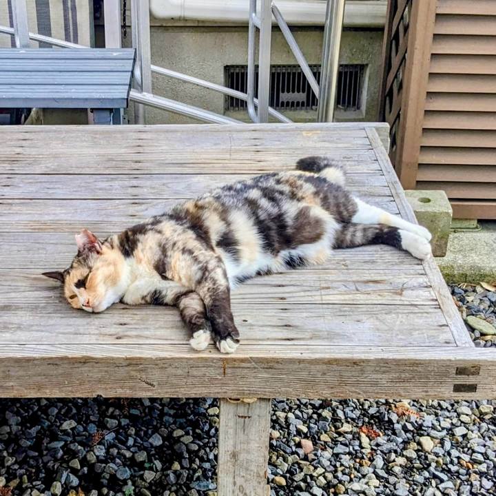 81c00674 dc6c 4d32 bcb3 519b9723083e 1758453750627