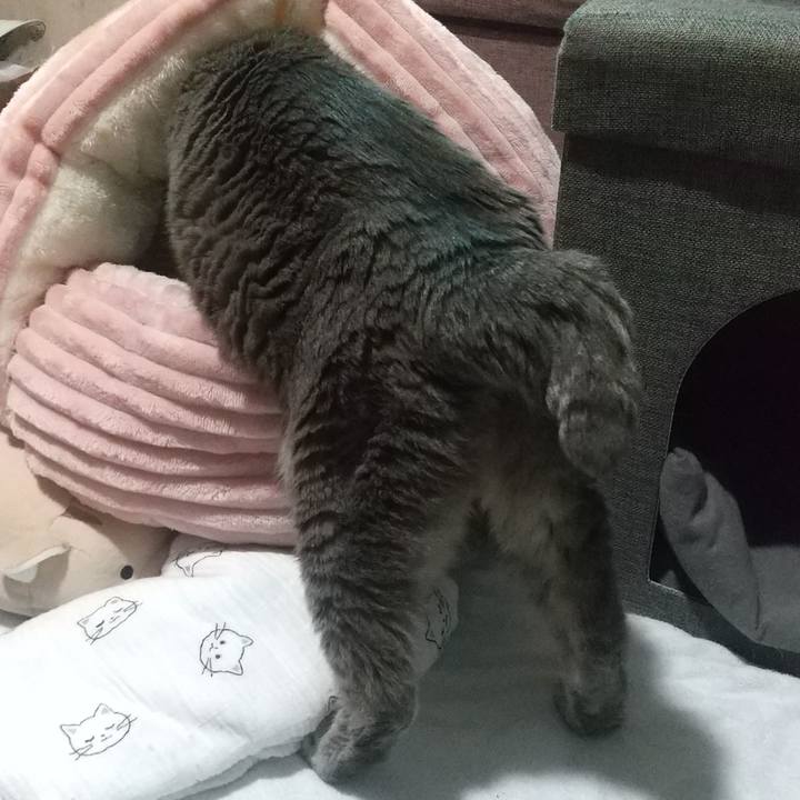 81c015b7 0ffc 491c a7c1 3388625bcb3f 1672487799343