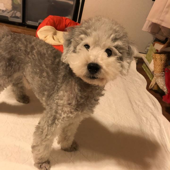 81c027d2 75ee 4cd3 a3ad 635eb5046013 1538610246611