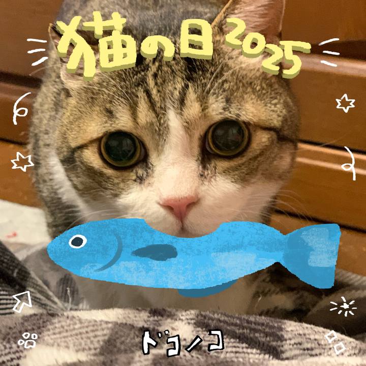 81c02e23 20aa 4342 bf9c 739974a3e9e9 1740142281296