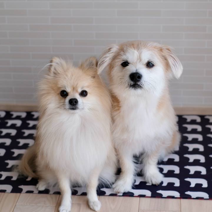 81c05a3a d178 4415 b55a e2aade29b1d1 1761774599087