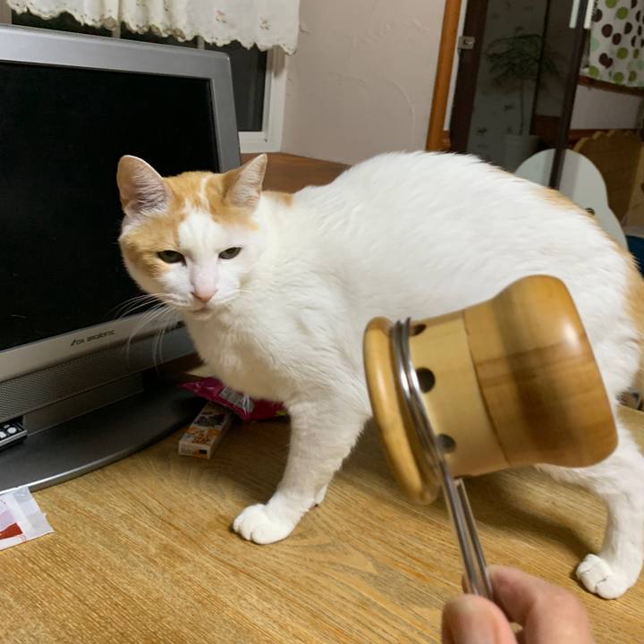 81c075bb 463b 4db5 87e2 bd0c6e43d8e7 1652791236840