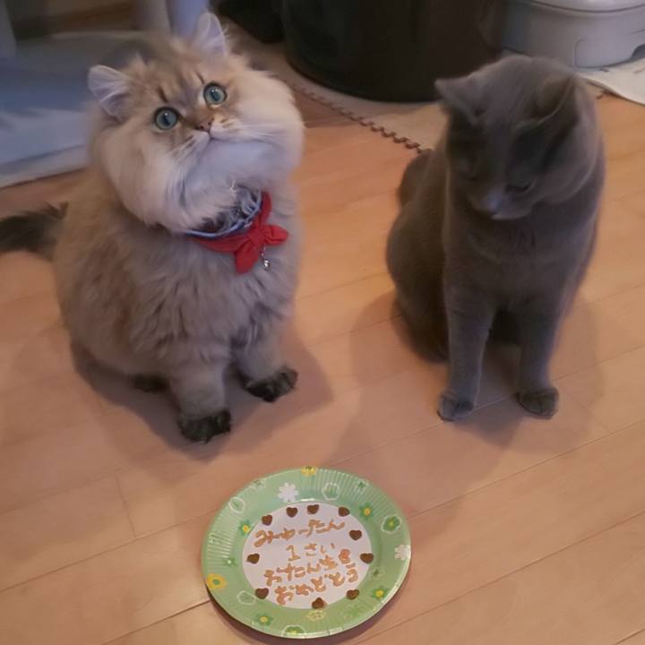 81c086f1 095e 495b 9f2b 777ae6399393 1574236061789