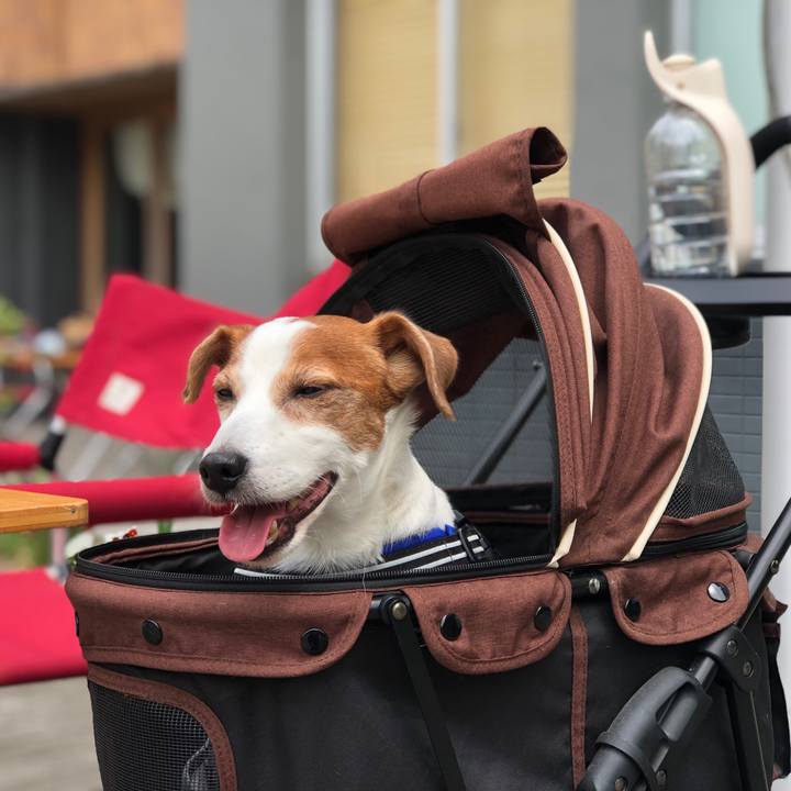 81c09bf5 2af4 4315 9c96 23545ca23ad6 1747458966844