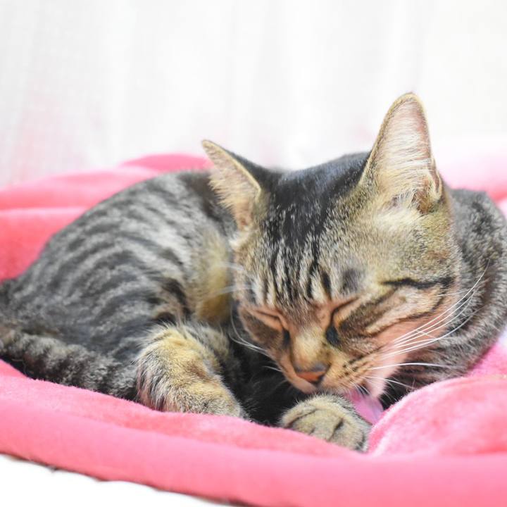 81c0b7c6 ff07 4d15 aa67 e9556a984b70 1539955993516