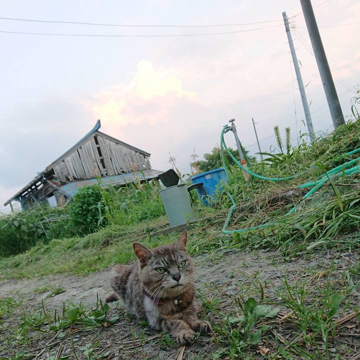 81c0c715 e5a8 472f 946a a0af84e07e7f 1598087918847