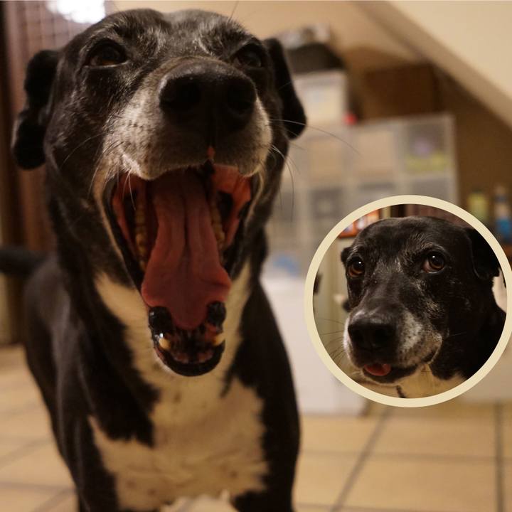 81c0ce78 dde6 4998 88fe a3d108010304 1770116966964