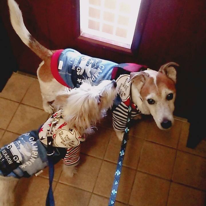 81c0e11f d5b9 41a7 870f adddb295fe36 1520142537307