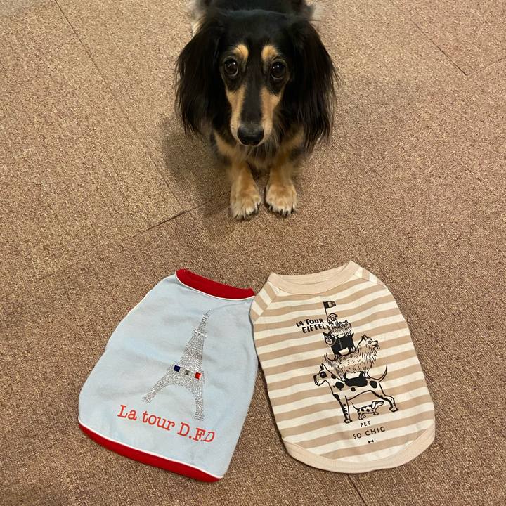 81c11740 b679 4283 af3a e1c933052e4d 1752446457468