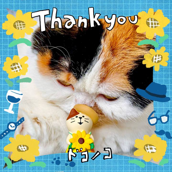 81c1272a 3c69 4269 a968 68ba32476d9e 1717555377683