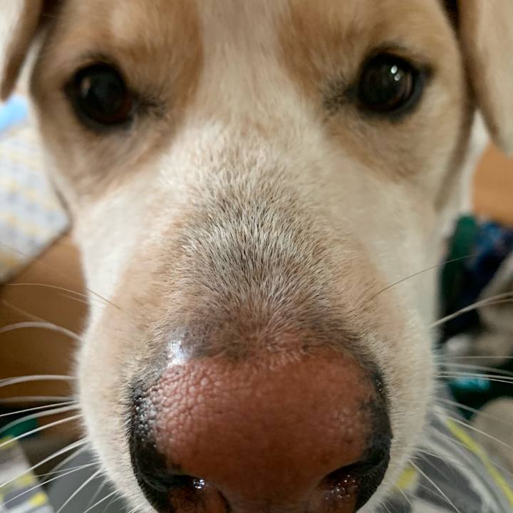 81c162e7 8511 4664 80fa b913c2cb5f58 1566860468555