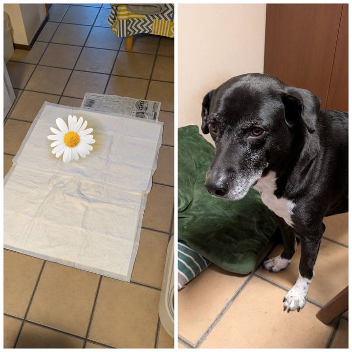 81c19291 1337 432d 8870 4a7c660082e2 1742084043354