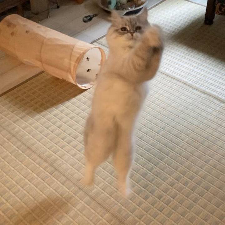 81c1cb4e 521a 4448 ac26 3d56c37f485f 1682808129079