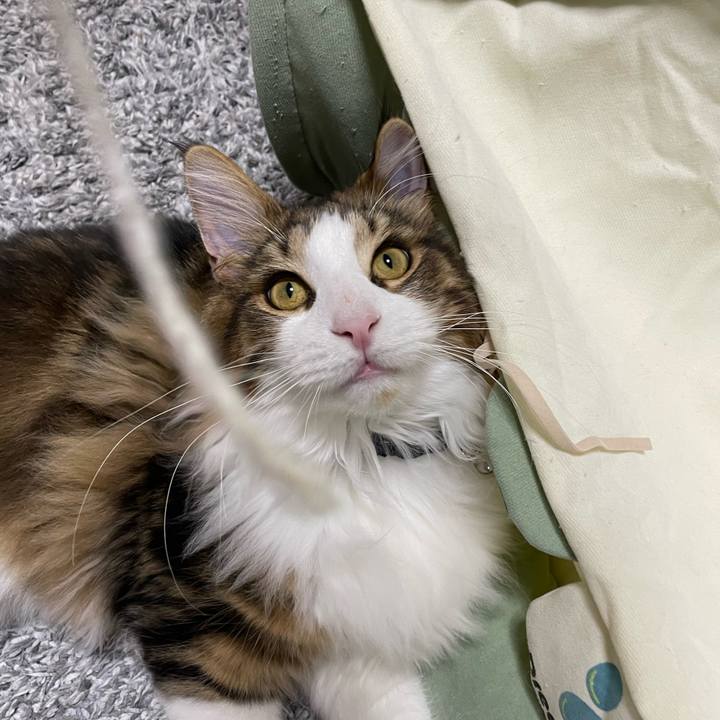 81c1cee2 2234 4122 b288 41c293cf0faf 1641818440211