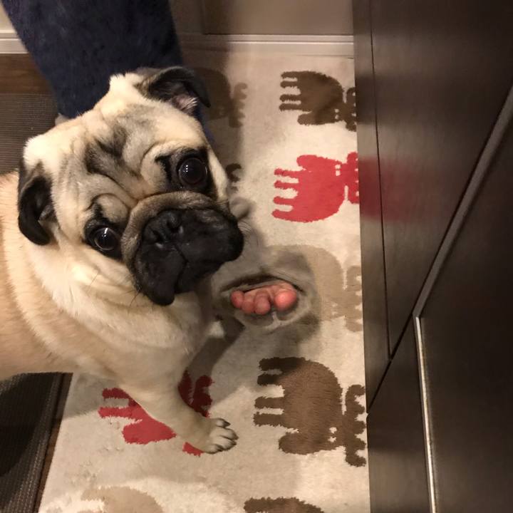 81c20992 502e 48d0 a9c4 201164209cd1 1548202015188