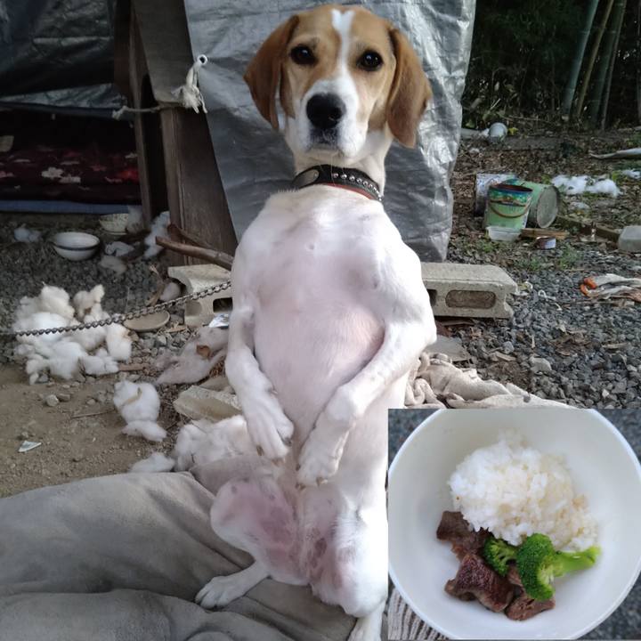 81c25d2d 4d16 44dd af79 253aa6e06fc1 1637309210887