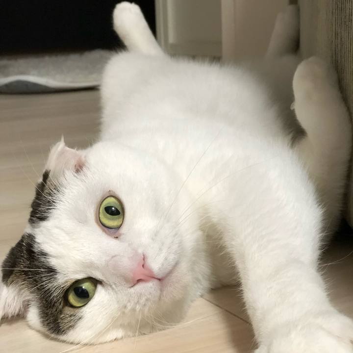 81c26c05 5629 4d3c 864e f79e86442c8b 1535980029550