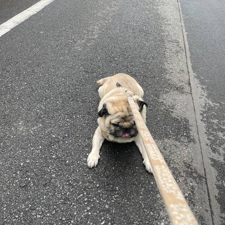 81c27557 da04 46aa b8df 74fb12f1fd14 1714467984153