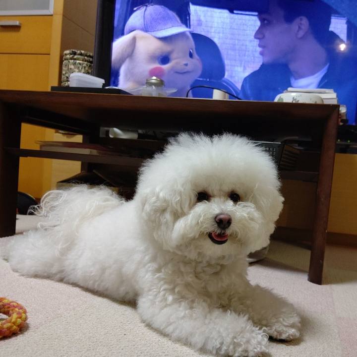 81c27693 b779 4549 aace 0a432829dfab 1590233896254