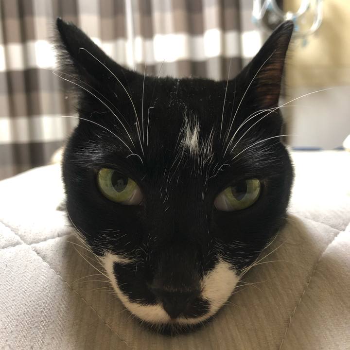 81c28855 5395 4fa6 9cdf f291ab9bdbaf 1598044214604