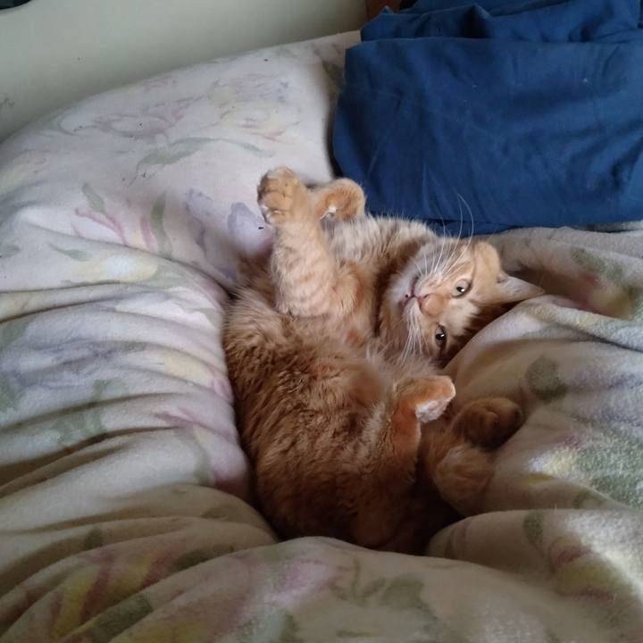 81c2905c f987 4fdc 8d26 d74be0b62805 1701162265500