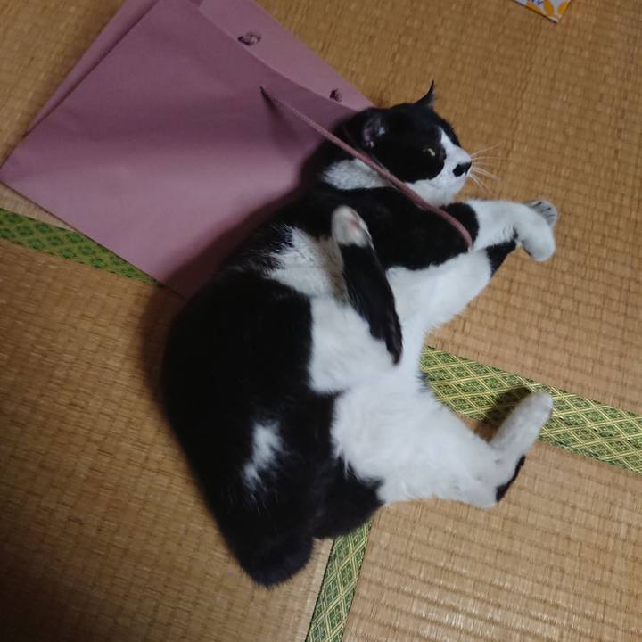 81c31414 cd04 4067 b274 6245f5e3f5ae 1557661684005