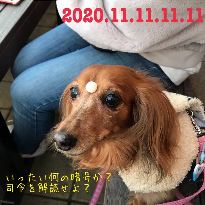 81c32117 c81a 4190 8a88 0436d0ec876a 1605060727236