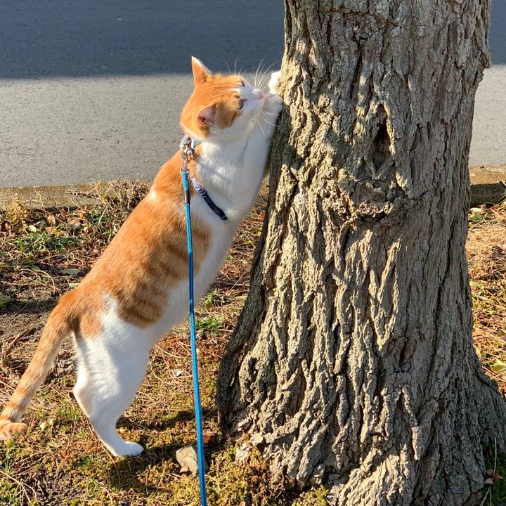 81c3316b cdc3 4838 bc32 24fe65a87747 1582500713124