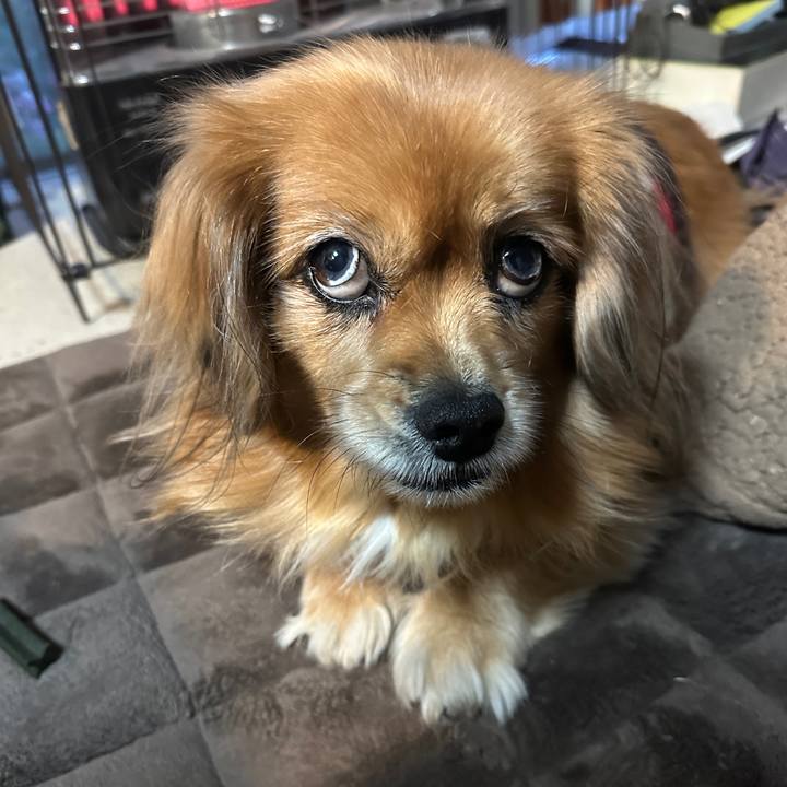 81c3f8f8 2fef 4bbb a4a1 a4a4517b20d4 1734472152896