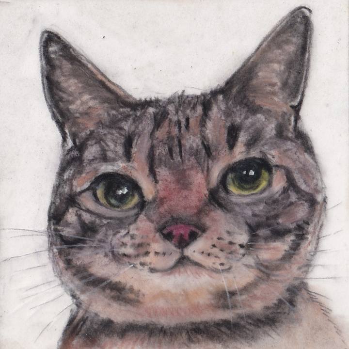 81c42f1f a44f 47d7 90f4 7de8fd628100 1743723017906