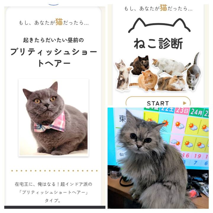 81c4602b 9997 4414 8b6d 391272d64fb2 1742512222861