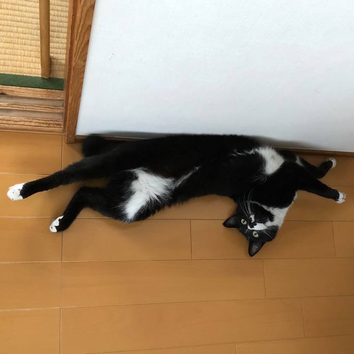 81c4ac02 0f73 469b b543 d29621c07277 1560397904958